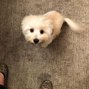 Meet your Posher, Kris